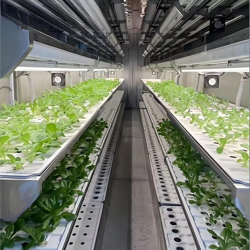 Smart Planting Container Verti - Urban Farming Hydroponic System 리뷰 및 가격