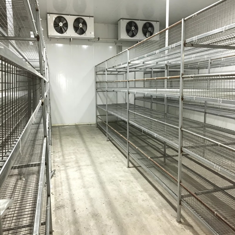 Hydroponic Container Farm with - Urban Farming Hydroponic System 리뷰 및 가격