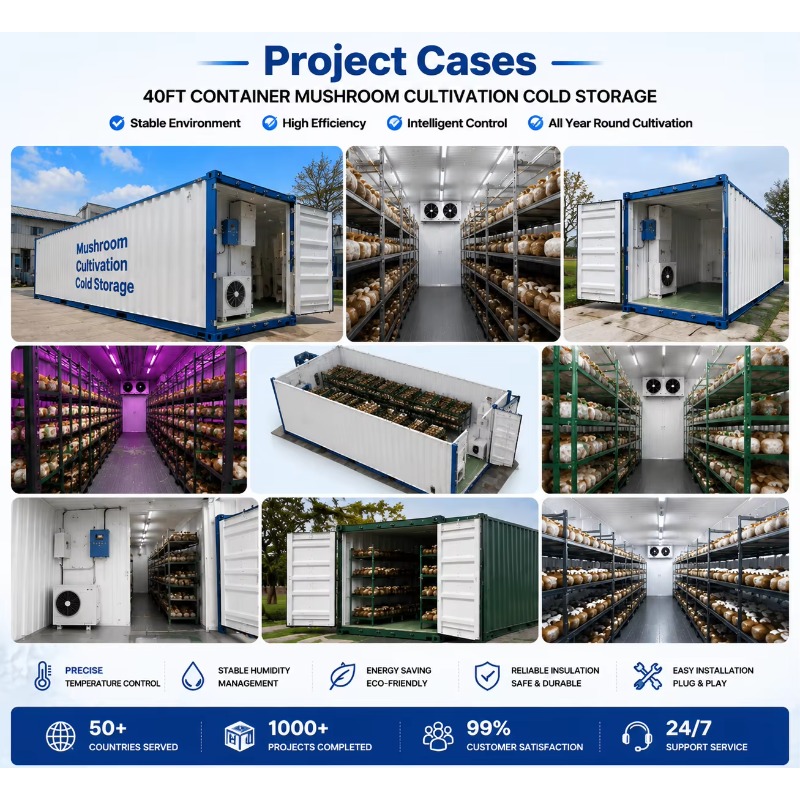 Hydroponic Container Farm with - Urban Farming Hydroponic System 리뷰 및 가격